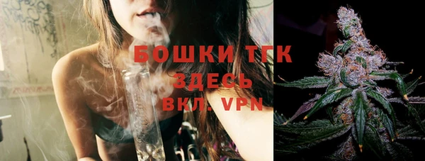 шишки Куйбышев