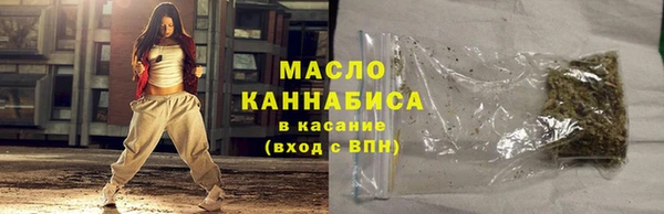 сатива Кулебаки