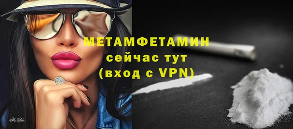 сатива Кулебаки
