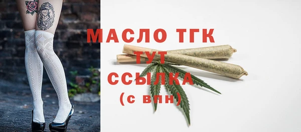 сатива Кулебаки