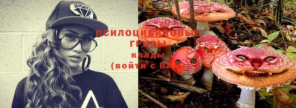сатива Кулебаки
