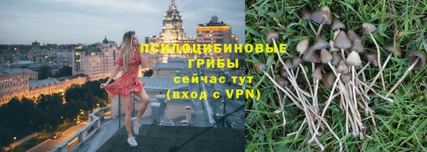 apvp Лабытнанги