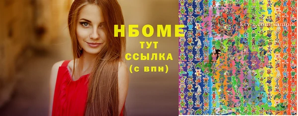 сатива Кулебаки
