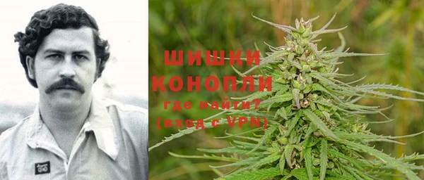сатива Кулебаки
