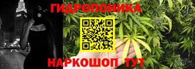 крисы Донской
