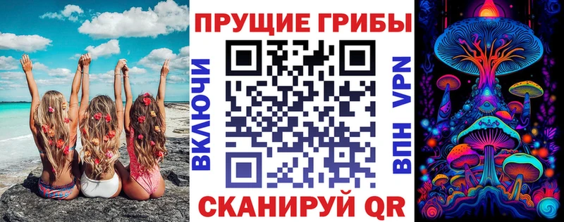 Псилоцибиновые грибы прущие грибы Тайшет