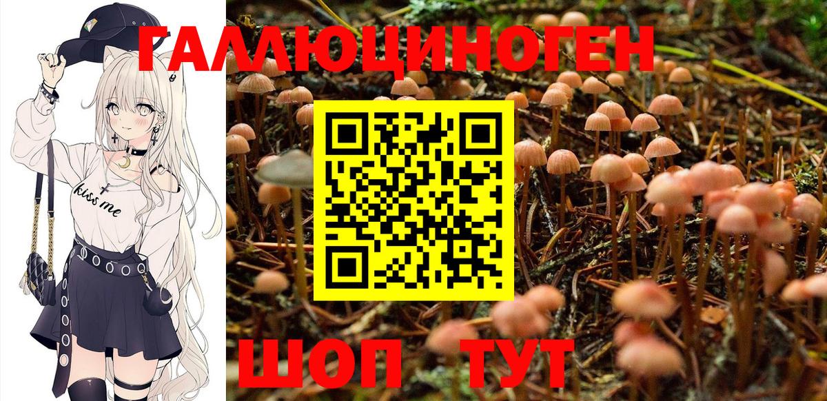 Галлюциногенные грибы Psilocybe  Вход с VPN  как найти закладки  Тайшет  Галлюциногенные грибы Magic Shrooms 